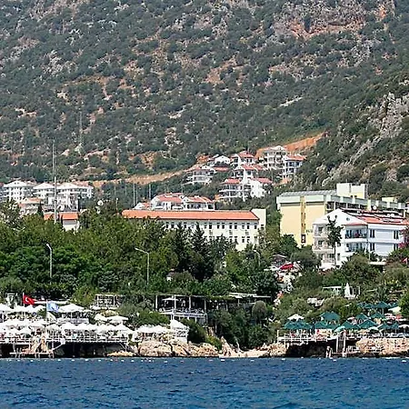 Arnna Kaş