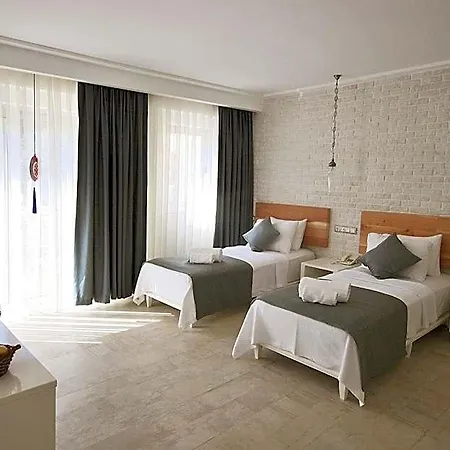 Arnna Kaş